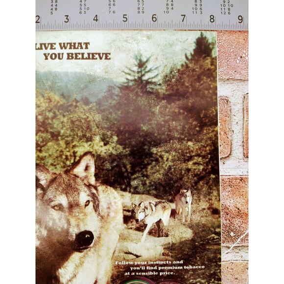 2002 Wolf Chewing Tobacco Print Ad Pack of Wolves Forest Taste the Spirit Quote - Picture 7 of 9